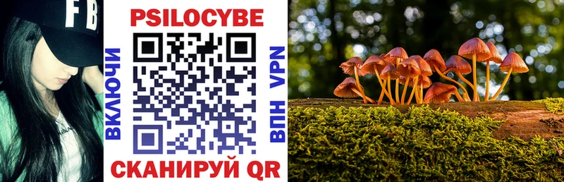 Галлюциногенные грибы прущие грибы  Бирюч 