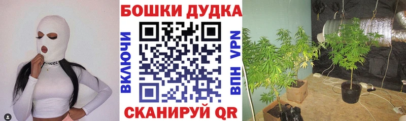 Канабис Ganja  Бирюч 